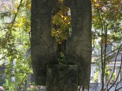 -杭州花家山庄