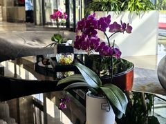 -北京园博大酒店