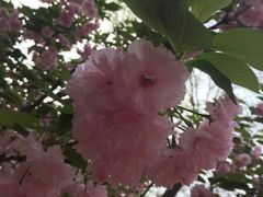 -山东大学(趵突泉校区)