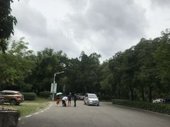 -大屏嶂森林公园