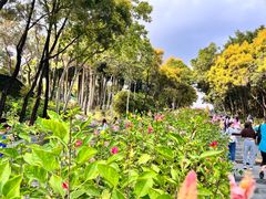 -深圳国际园林花卉博览园