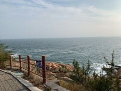 -广东惠东海龟国家级自然保护区