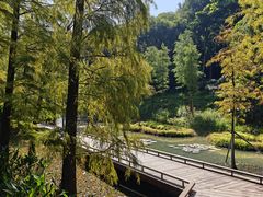 -云溪植物园