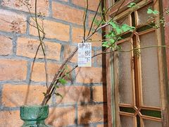 -西关84·History·Art·Cafe