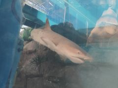 -望儿山温泉水乐园