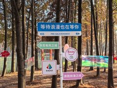 -上海海湾国家森林公园