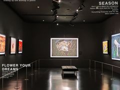 -罗红摄影艺术馆