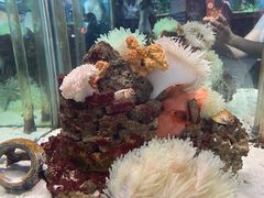 -太平洋海底世界