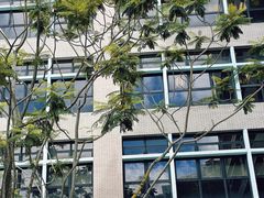 -香港大学