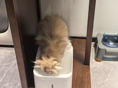 -博特宠物医院24h犬猫全科.骨科·异宠