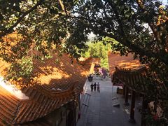 -弘法寺斋菜馆素食