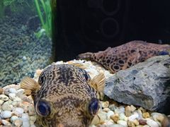 -上海海洋水族馆