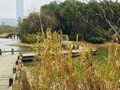 -艾溪湖湿地公园