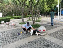 -酷酷兔少儿拓展天地