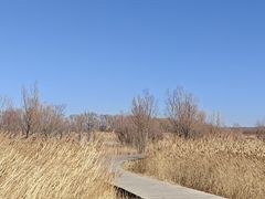 -野鸭湖国家湿地公园