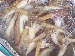 -海岸风情蒸汽海鲜自助餐厅(家宴金手勺店)