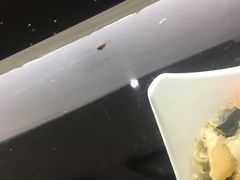 -无影脚佛山陈氏盲公丸始创店(飞鸿街店)