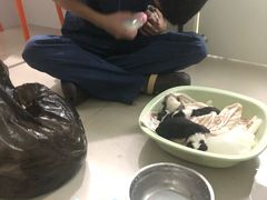 -佳雯宠物医院(金华南路分院)