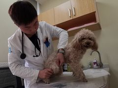 -美联众合动物医院·24h京西诊疗中心