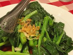 葱油菜心-西贝(上海中心店)