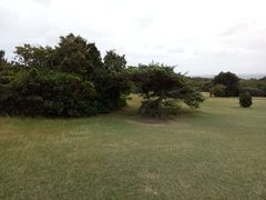 -鹅銮鼻公园