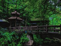 -青城山
