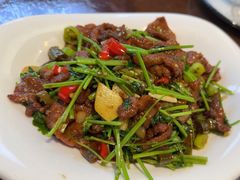 -巴依老爷新疆餐厅