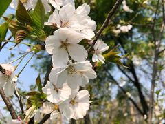 -杭州城北体育公园