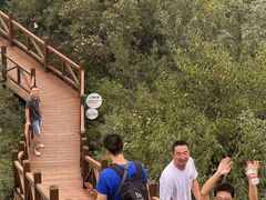 -大岭沟猕猴桃谷风景区
