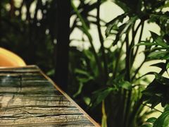 -THE WOODS 简餐 (国贸商城店)