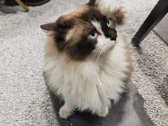 -seeu coffee(江滩店)