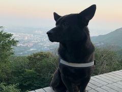 -鬼笑石后山停车场