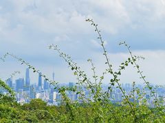 -广州市白云山风景名胜区