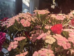 -春暖花开(西溪店)