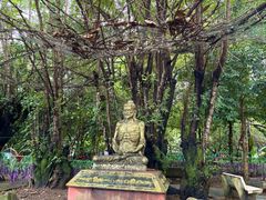 -瑞丽独树成林风景区