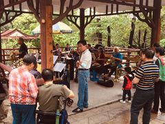 -晓港公园