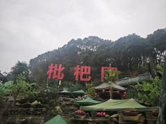-枇杷园食为鲜火锅(南山店)