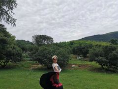 -陶祖圣境风景区