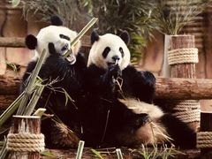 -泉州海丝野生动物世界