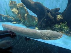 -石林冰雪海洋世界