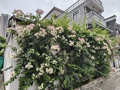 -三溪村