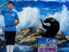 -左海海底世界