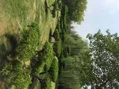 济南森林公园-济南森林公园