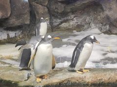 -波塞冬海底世界