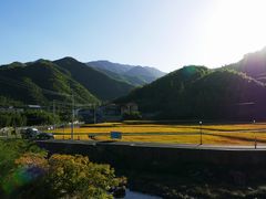 -山沟沟景区