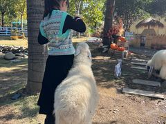 -HERRE·FARM 赫尔露营农场·团建聚会包场