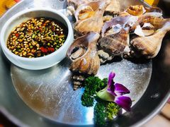 大连角螺-必点海鲜·鲅鱼水饺(鞍山西道店)