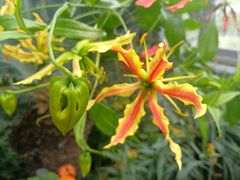 -国家植物园南园