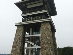 -大湾区中央湿地公园