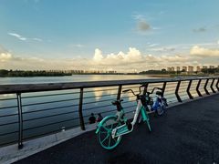 -丁香湖公园